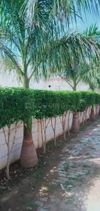 Image of 200 Sq.ft Residential Plot / Land for sale in Naubasta, Kanpur for Rs. 1600000