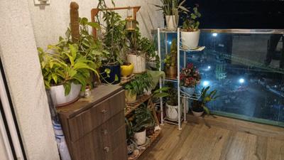 Image of 1230 Sq.ft 2 BHK Apartment / Flat for rent in Aurum Q Residences R3, MIDC Industrial Area, Navi Mumbai for Rs. 80000