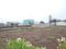 Perne Plot View 2