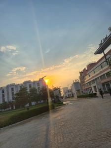 Image of 115 Sq.ft Residential Plot / Land for sale in Spring Valley, Sector 35, Sohna for Rs. 20100000