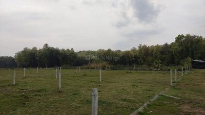 Dunga Plot View 1