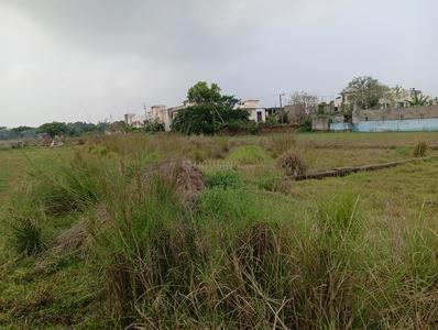 Siula Plot View 2