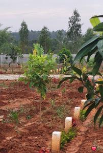 Image of 6000 Sq.ft Residential Plot / Land for sale in Gollahalli, Bengaluru for Rs. 4800000