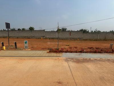 Pleasure Spaces Nirvana Plot View 2