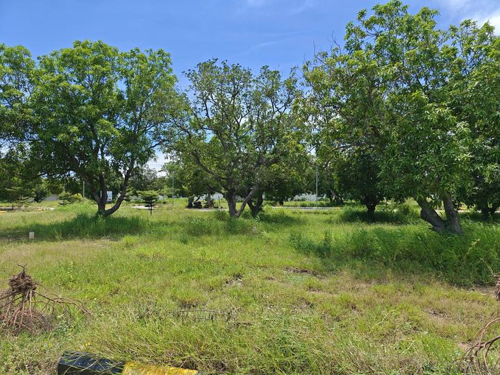 Poonamallee Main Image 1