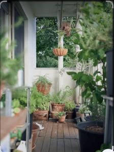 Balcony Image of 1360 Sq.ft 4.5 BHK Independent House for sale in Sector 27 Noida for Rs. 48000000