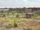 Bihta Main Image 1