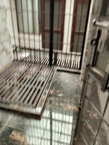 Balcony Image of 900 Sq.ft 2 BHK Builder Floor for rent in Sector 63 A Noida for Rs. 22000