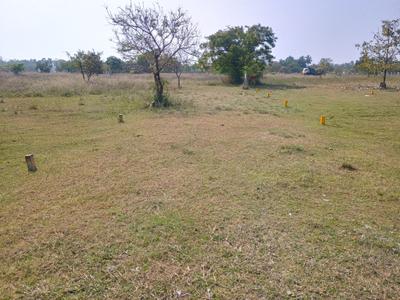 Image of 1000 Sq.ft Residential Plot / Land for sale in Tirukalukundram, Chennai for Rs. 1250000