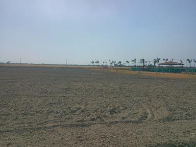 1008 Sq.ft Residential Plot / Land for Sale in Sikanderpur, Greater Noida