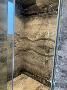 Bathroom Image of 9200 Sq.ft 9 BHK Independent House for sale in DLF Phase 1 Gurgaon for Rs. 600000000