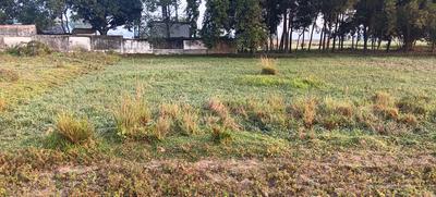 Residential Plot