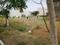 Kings Paradize Plot View 2