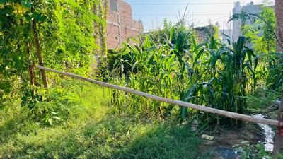 Image of 900 Sq.ft Residential Plot / Land for sale in Sector 53, Faridabad for Rs. 1500000