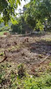 Image of 291 Sq.ft Residential Plot / Land for sale in Kadamba, Goa for Rs. 18900000