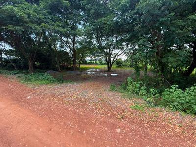 Image of 7000 Sq.ft 12 BHK Farm House for sale in Ashok Nagar, Bhubaneswar for Rs. 7000000