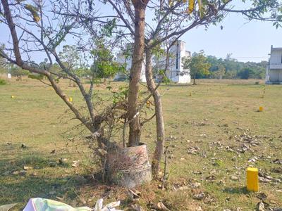 Image of 2000 Sq.ft Residential Plot / Land for sale in Mahabalipuram, Chennai for Rs. 2500000
