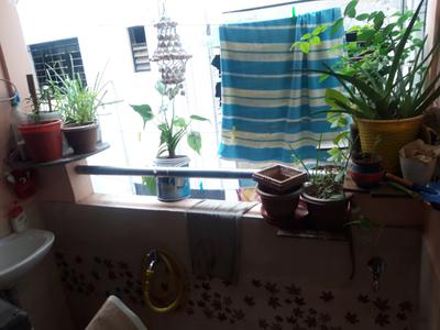 Balcony Image of 470 Sq.ft 1 BHK Apartment / Flat for rent in Jaitala Nagpur for Rs. 13000