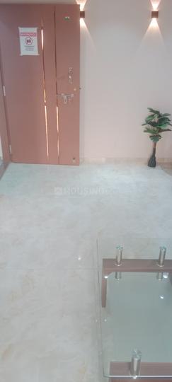 Shellproof Gladiolus Crown Main Image 1