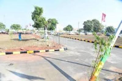 Image of 12000 Sq.ft Residential Plot / Land for sale in Shadnagar, Ranga Reddy for Rs. 3300000