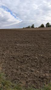 Image of 1089 Sq.ft Residential Plot / Land for sale in Ulwe, Navi Mumbai for Rs. 600000