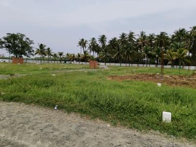 Angadu Plot View 2