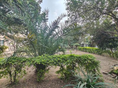 Image of 3960 Sq.ft Residential Plot / Land for sale in Thaltej, Ahmedabad for Rs. 44000000