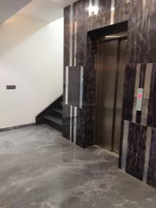 Hall Image of 3250 Sq.ft 4 BHK Builder Floor for rent in Sector 47 Noida for Rs. 150000
