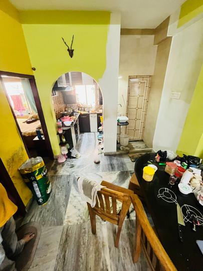 Joy ma tara Main Image 1