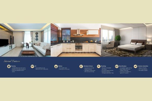 Alpine Primo Main Image 1