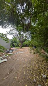 RAJPATH RANGOLI ROAD Plot View 3