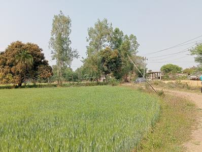 Image of 10000 Sq.ft Residential Plot / Land for sale in Ayodhya Bypass, Bhopal for Rs. 2500000