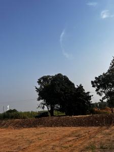 Image of 1053 Sq.ft Residential Plot / Land for sale in Kurali, Mohali for Rs. 6435000
