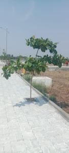 Image of 1200 Sq.ft Residential Plot / Land for sale in Jamtha, Nagpur for Rs. 2200000