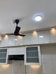 Kitchen Image of 1236 Sq.ft 2.5 BHK Apartment / Flat for rent in The 3C Lotus Panache, Sector 110 Noida for Rs. 30000