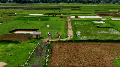 Bihta Plot View 2