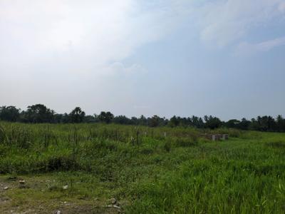 Image of 720 Sq.ft Residential Plot / Land for sale in Nest Valley, Joka, Kolkata for Rs. 160000