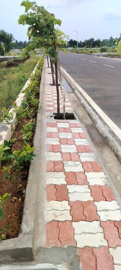 AP CRDA AND RERA APPROVED GATED COMMUNITY PROJECT Main Image 1