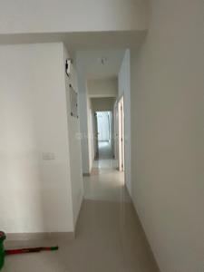 Passage Image of 1240 Sq.ft 3 BHK Apartment / Flat for sale in Pacifica North Enclave Block A To K, Vaishno Devi Circle Ahmedabad for Rs. 7000000