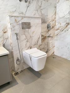 Common Bathroom Image of 750 Sq.ft 3 BHK Apartment / Flat for sale in Signature Global Grand IVA, Sector 103 Gurgaon for Rs. 9000000