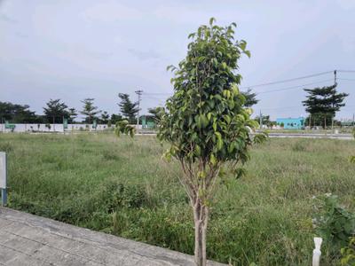 Image of 700 Sq.ft Residential Plot / Land for sale in Purva Raagam, Poonamallee, Chennai for Rs. 3200000