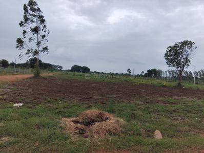 Image of 150 Sq.ft Residential Plot / Land for sale in Sadasivpet, Sangareddy for Rs. 1200000