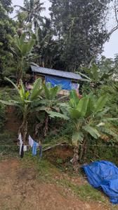 Image of 1350 Sq.ft 4 BHK Independent House for sale in Thiruvalla, Pathanamthitta for Rs. 8500000