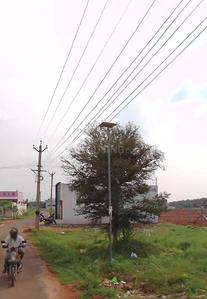 Image of 1306 Sq.ft Residential Plot / Land for sale in Ganapathipalayam, Tiruppur for Rs. 650000