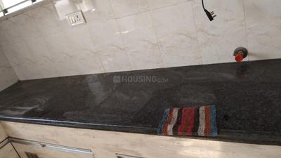 Bathroom Image of 800 Sq.ft 2 BHK Builder Floor for rent in Indrapuri Bhopal for Rs. 10000