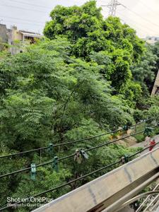 Balcony Image of 650 Sq.ft 3 BHK Builder Floor for sale in Sector 17 Rohini New Delhi for Rs. 4500000