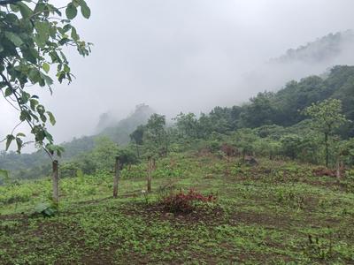 Image of 4550 Sq.ft Residential Plot / Land for sale in Karjat, Thane for Rs. 9500000