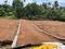 Irinjalakuda Plot View 2