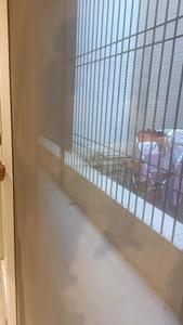 Balcony Image of 4000 Sq.ft 4 BHK Builder Floor for sale in Safdarjung Development Area New Delhi for Rs. 120000000
