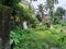 Madhyapara Main Image 1